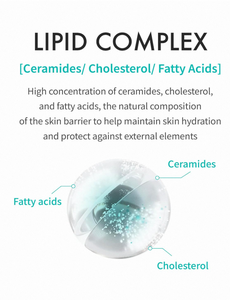 REJURAN ®   Crema Hidratante c-PDRN ®   - Crema hidratante diaria para una hidratación duradera y apoyo a la barrera cutánea con PDRx. (2.11 oz) - Product Image 3