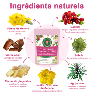 Thé Naturel เท fibromes utérus et สมดุลฮอร์โมน mélange de Plantes เท fertilité fémine สุขภาพดีสมุนไพรชาธรรมชาติ - Product Image 4