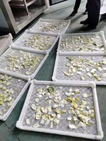 Warmtepomp Industriële Chili-Voedseldroger/Industriële Voedseldroogmachine/Industriële Fruitmango-Dehydrator