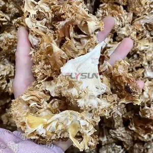 Vente chaude : Four de séchage pour champignons, Séchoir pour Sparassis Crispa, Machine de séchage pour champignons, Déshydrateur pour champignons et morilles - Product Image 2