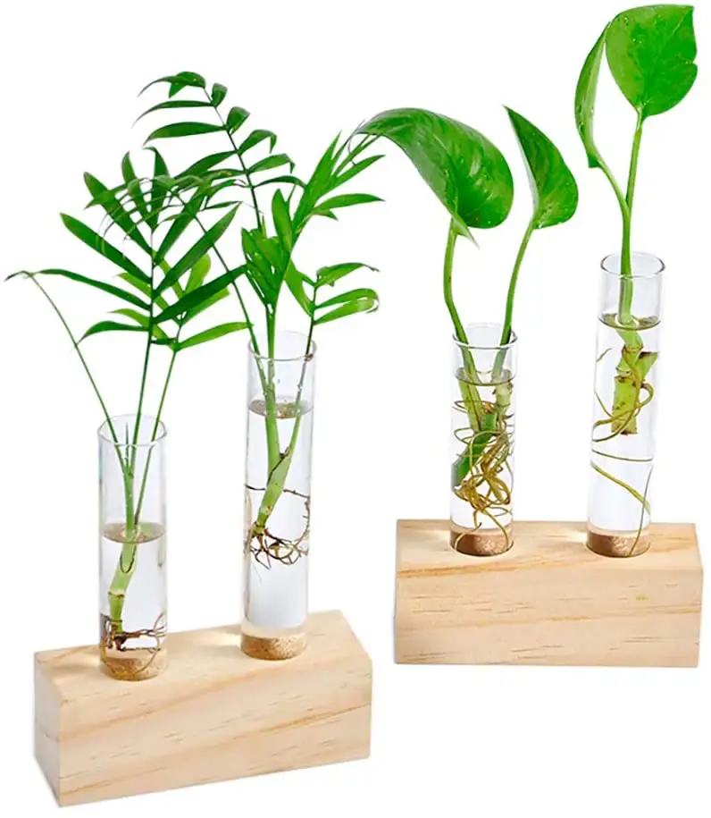 Crystal Glass Double Test Tube Vase in Wooden Stand Flower Pots for Hydroponic Plants Office Home Decoration