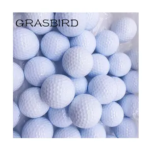 2Piece Practice Golf Balls for Golf Course OEM Factory Prices Custom Logo Surlyn Golf Ball