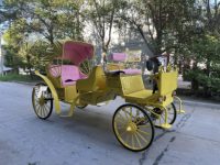 Chariot de tourisme électrique pour visites panoramiques, véhicule de loisirs pour parcs d'attractions et jardins fleuris