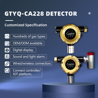 Detector de Fugas de Gas Combustible Fijo ExdIICT6 IP66 GTYQ-CA228 con Sensor Importado para Petroquímica, Restaurantes y Calderas