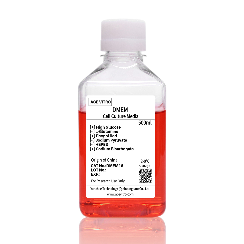 DMEM16