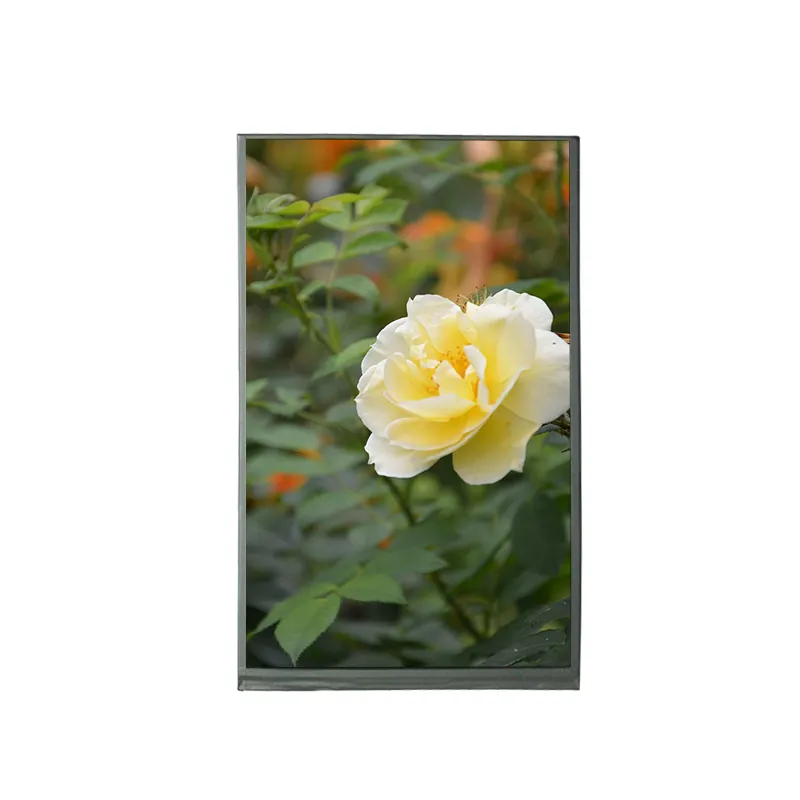 MTF070ICN-PB1 7 Inch Full Color 800x1280 MIPI Interface 40pin TFT LCD Screen For Digital Photo Frames