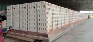 Ligne de production de fours à tunnel automatiques pour briques d'<span class=keywords><strong>argile</strong></span> Xinxing avec contrôle PLC, extrudeuse sous vide à moteur, 220V, garantie 1 an - Product Image 4