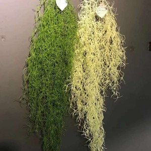 Plante artificielle murale Lai Cai Lai Dragon Beard Grass Vine 30cm-100cm verte et blanche pour décoration de mariage, extérieur et balcon - Product Image 1