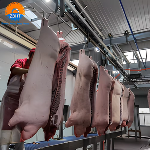 Soluzione Chiavi in Mano per Mattatoio Suinicolo, Linea Completa di Lavorazione e Macchinari per Macellazione Suini Completamente Automatici, Certificazione CE - Product Image 6