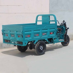 Nuovo Triciclo <span class=keywords><strong>Elettrico</strong></span> da Carico per Adulti dal Design Personalizzato per Uso Agricolo, Bici <span class=keywords><strong>Cargo</strong></span> Cinese - Product Image 6