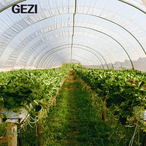 Película de Plástico Tipo Túnel para Invernadero Agrícola, Película PO para Agricultura a Gran Escala, <span class=keywords><strong>Precio</strong></span> de Fábrica - Product Image 5