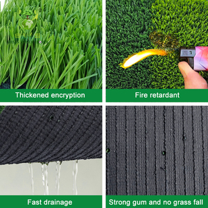 Césped <span class=keywords><strong>Artificial</strong></span> de Fútbol de Monofilamento de PE de 50 mm, Rollo de Césped Sintético de Alta Densidad para Campos Deportivos - Product Image 4