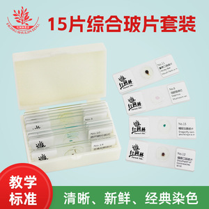 15 beautifully packaged <b>microscopic</b> slides for primary and secondary school laboratory lessons. - Product Image 4