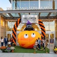Calabaza inflable gigante de Halloween de 3m/5m con gato negro y sombrero de bruja, con luces LED integradas, resistente al agua, alimentado por enchufe, para exteriores/jardín.