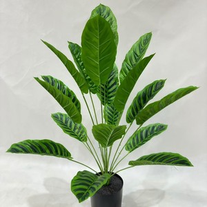 Piante Verdi Artificiali all'Ingrosso Direttamente dalle Fabbriche per Decorazione Casa e Ufficio - Product Image 6