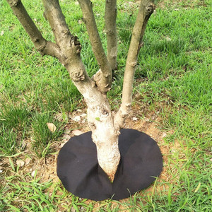 Phân Hủy Dày Không Dệt Nhà Máy Bìa Mùn Mat Cây Lớp Phủ Vòng Cho Nông Nghiệp Bìa Nhà Máy Bìa Weed Kiểm Soát Mat - Product Image 6