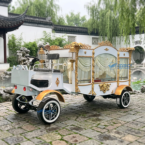 Carroza Fúnebre de Lujo de Acero, de Alta Calidad, OEM, con Tracción por Caballos/Eléctrica, para Venta, Carroza para Ataúdes - Product Image 1