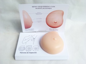 Modèle de sein en silicone pour l'auto-examen et l'enseignement médical - Product Image 4