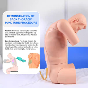 Mannequin d'entraînement ADA pour ponction thoracique et abdominale, modèle anatomique de sciences médicales, mobilité abdominale, Turbid - Product Image 4