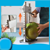 Couteau à ouvrir la noix de coco verte, ouvre-noix de coco manuel portable pour magasin de fruits, perceuse à trous pour coque de noix de coco