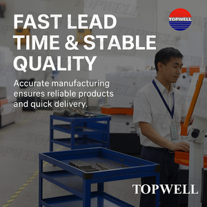 Topwell nhựa ép phun Dịch vụ thiết kế sản phẩm phát triển kỹ thuật mô hình <span class=keywords><strong>3D</strong></span> nguyên mẫu sản xuất R & D đổi mới - Product Image 5