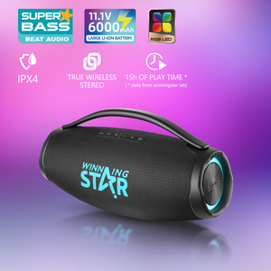 WINNINGSTAR Cross-border <b>Microphone</b> Connector Portable Indoor/Outdoor High-Power DSP Party 9D Wireless <b>Bluetooth</b> Speaker - Product Image 4