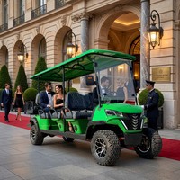 Los Mejores Carritos de Golf Eléctricos Todoterreno de 8 Plazas, Carrito Eléctrico Tipo Buggy a Precio Competitivo