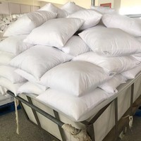 Insert de coussin en plumes naturelles pour canapé d'hôtel, noyau de coussin de dossier, taille personnalisée, garnissage intérieur décoratif