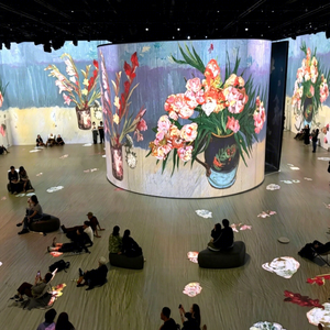 Équipement de projection immersif pour l'intérieur, destiné à la narration numérique, aux salles à thème, aux présentations créatives et aux expériences visuelles - Product Image 1
