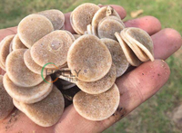 Medio Filtrante MBBR Ecológico 100% HDPE Virgen Bio Chip Blanco Puro No Tóxico para Piscifactorías RAS y Aguas Residuales Municipales