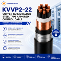 Câble de commande blindé en acier avec gaine PVC en cuivre toronné KVVP2-22 6mm IP68 450/750V pour l'automatisation industrielle OEM CE RoHS