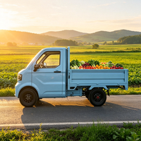 Véhicule électrique mini pick-up multifonctionnel, EEC/COC/L7e CP, moteur 4000W, adapté au transport agricole et urbain