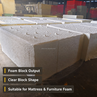 Machine semi-automatique de fabrication de mousse de polyéthylène en lots avec contrôle par écran tactile PLC et pompe d'alimentation automatique pour usine de mousse