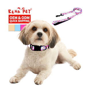 Conjunto de collar y correa para perro con logotipo personalizado y ajustable al por mayor - Product Image 2