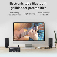 Amplificateur à tubes BRZHIFI VOL-65E, préamplificateur stéréo BT, système audio audiophile pour home cinéma