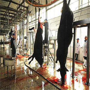 Équipement d'abattoir équipement D'abattoir d'abattoir accessoires outils vente <span class=keywords><strong>pas</strong></span> <span class=keywords><strong>cher</strong></span> bétail équipement d'abattage - Product Image 4