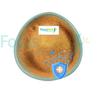 FocusHerb US Warehouse Spot naturel 10:1 Poudre d'extrait de champignon shiitake biologique - Product Image 5