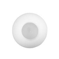 Lustre moderne en verre à LED blanc givré personnalisé avec abat-jour boule globe transparent Design rustique de l'usine Guangdong