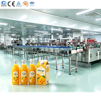 Automatische mango-sapverwerkingslijn met concentratiefunctie, 6000 Bph capaciteit