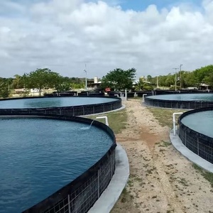 Tanque <span class=keywords><strong>de</strong></span> Cultivo <span class=keywords><strong>de</strong></span> Tilapia en Biofloc, Tanque <span class=keywords><strong>de</strong></span> Lona <span class=keywords><strong>de</strong></span> PVC para Cultivo <span class=keywords><strong>de</strong></span> Camarones, Gran Venta - Product Image 6