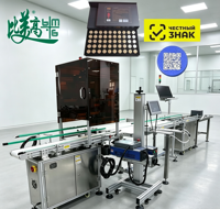 Machine de marquage laser haute vitesse pour capuchons, unité de gravure laser UV à mise au point automatique avec marquage de codes QR et système de vision par caméra CCD