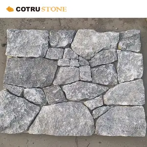 Pavés blancs de cuisine naturelle Revêtement mural en quartzite Drapeau aléatoire ardoise gris brillant extérieur Carreaux de façade de jardin Livraison en stock