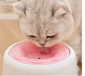 Bol pour animaux de compagnie suspendu antidérapant de 1500 ml, plat à nourriture arrondi pour chien, bol portable pour nourriture et eau pour l'intérieur, l'extérieur et les voyages - Product Image 5