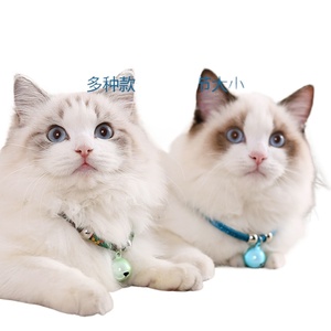 Small <strong>Dog</strong> &amp; Cat Pet <strong>Collar</strong> Necklace with Durable Polyester <strong>Bell</strong> Solid Pattern Soft and Wholesome <strong>for</strong> Teddy Bichon - Product Image 3