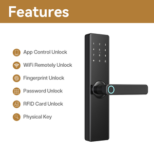 Tenon T09 Apartment Room Waterproof <strong>Biometric</strong> Finger Print Locks Doors Battery Operated Electronic Tuya Smart Door Lock Card - Product Image 2