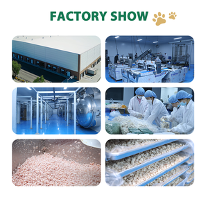 Muestras Gratis <span class=keywords><strong>de</strong></span> Alimento Natural para Gatos Liofilizado al por Mayor, Golosinas Liofilizadas para Mascotas, Yema <span class=keywords><strong>de</strong></span> Huevo - Product Image 6