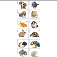 A.S. Perangko Abadi, Label Ongkos Kirim Kelas Satu, 2016 Pets, Cocok untuk Pengiriman Eceran dan Grosir