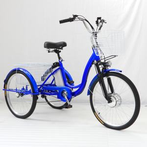 Usine 3 Roues Vélo Électrique 350W Moteur 36V Batterie Tricycles Électriques pour Adultes - Product Image 3