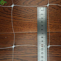 Biaxial berorientasi anggur putih memperbaiki luar ruangan tahan lama memanjat jaring anggur timun teralis dukungan 10x10cm Mesh 2m X 1000g PP UV