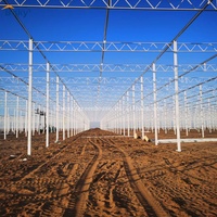 Invernadero de Vidrio Resistente para Proyectos de Cultivo Comercial de Vegetales a Gran Escala